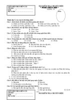 Chuyên hiệu nghi thức đội