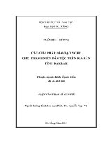 Luận văn thạc sĩ Các giải pháp đào tạo nghề cho thanh niên dân tộc trên địa bàn Tỉnh Đăk Lăk (full)