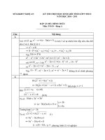 Dap An De Thi HSG Tinh Nghe An Mon Toan A Nam hoc 2010-2011