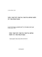 Tiểu thuyết Trung Trung Đỉnh nhìn từ thi pháp học