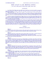 Bộ Luật Lao Động 1994.doc