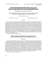 SỰ TÍCH LŨY MỘT SỐ KIM LOẠI TRONG CÁ CHÉP (Cyprinus carpio) NUÔI TẠI TRẠI NUÔI TRỒNG THỦY SẢN, HỌC VIỆN NÔNG NGHIỆP VIỆT NAM