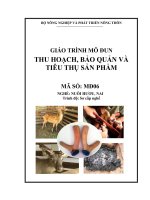 giáo trình thu hoạch tiêu thụ sản phảm hươu nai
