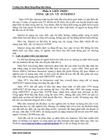 giáo trình VỀ  INTERNET