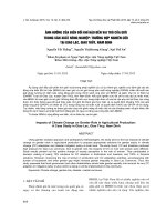 ẢNH HƯỞNG CỦA BIẾN ĐỔI KHÍ HẬU ĐẾN VAI TRÒ CỦA GIỚI TRONG SẢN XUẤT NÔNG NGHIỆP TRƯỜNG HỢP NGHIÊN CỨU TẠI GIAO LẠC, GIAO THỦY, NAM ĐỊNH