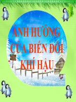 Giúp bé bảo vệ môi trường