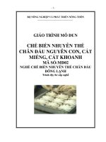 Giáo trình MD02   chế biến cất miếng, cắt khoanh