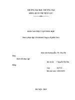 Tình hình hoạt động quản trị nhân lực của Chi nhánh công ty cổ phần Tara