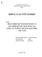 Hoàn thiện kế toán bán hàng và xác định kết quả bán hàng tại công ty cổ phần thương mại Nishu Việt nam