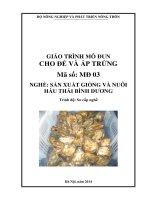 Giao trinh MD 03   cho đẻ và ấp trứng hàu thái bình dương