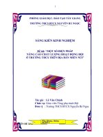 SKKN công tác Đội miền núi (hay)