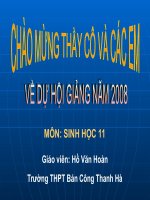 Sinh truong thuc vat