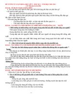 ĐỀ CƯƠNG ÔN TẬP HK 2 .LỚP 5 NH 2010-2011