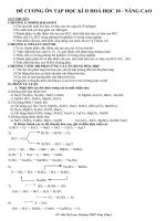 De cuong on tap hoc ky 2 - Hoa 10