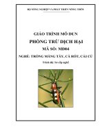 Giao trinh MD04   phòng trừ dịch hại măng tây cà rốt cải củ