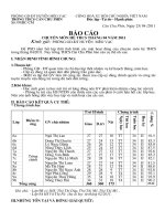 BÁO CÁO TỔ CM THÁNG 4 NĂM 2011