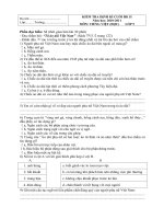 Dề thi cuối học kì II lớp 5 Năm 2010-2011