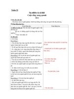 GIÁO ÁN TNXH LỚP 2 - TUẦN 22-25(CKTKN)