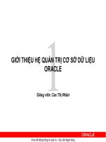 Bài giảng Quản trị cơ sở dữ liệu Oracle: Chương 1 GV. Cao Thị Nhâm (HV Ngân hàng)