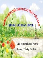 Toán lớp 3 chia so co 2 chu so cho so co 1 cs chuan 2