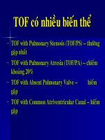 TOF có nhiều biến thể
