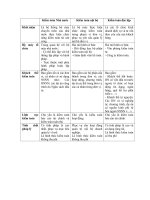 So sánh các hình thức kiểm toán