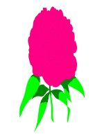 Hoa trang tri giao an