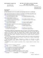 Đề Tiếng Nga 2010 CĐ KD Mã 735