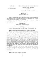 LUẬT TỐ TỤNG DÂN SỰ