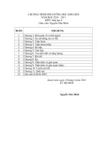 Chương trình bồi dưỡng học sinh giỏi 8 (2010-2011)