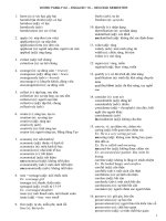 Word family 02 - English 10 - Second semester