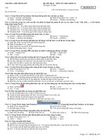 Đề thi HKII Tin 10 Đề số 1