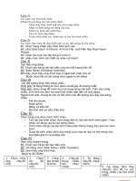 dap an tu luan tin 9