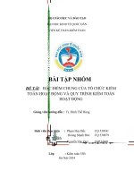 ĐẶC ĐIỂM CHUNG CỦA TỔ CHỨC KIỂM TOÁN HOẠT ĐỘNG VÀ QUY TRÌNH KIỂM TOÁN HOẠT ĐỘNG