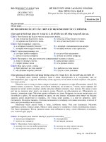 Đề Tiếng Nga 2010 CĐ KD Mã 281