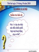 TNXH lớp 3-Ve sinh than kinh