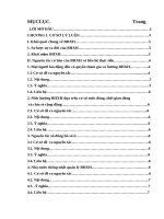 Các nguyên tắc cơ bản của BHXH và vận dụng các nguyên tắc vào việc xây dựng luật bảo hiểm xã hội