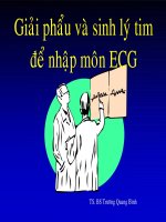 giải phẫu và sinh lý tim để nhập môn điện tâm đồ