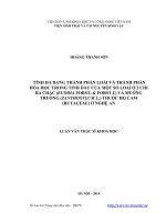 Tính đa dạng thành phần loài và thành phần hoá học trong tinh dầu của một số loài ở 2 chi Ba chạc (Euodia Forst.&Forst.f.) và Muồng truổng (Zanthoxylum L.) thuộc họ Cam (Rutaceae) ở Nghệ An