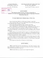 Quyết định ban hành Quy định về quản lý, cung cấp, sử dụng dịch vụ Internet