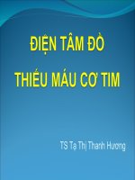 bài giảng điện tâm đồ thiếu máu cơ tim.PPT