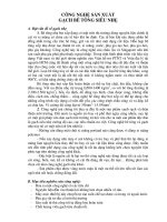 gạch bê tông nhẹ