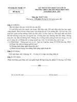 ĐỀ THI CHUYÊN NGHỆ AN NĂM 2010-2011 MÔN NGỮ VĂN