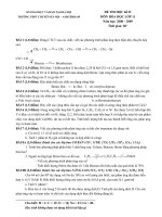 Hà nội - Amsterdam - Đề thi Học kì 2 lớp 10