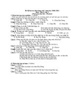 Đề kiểm tra cuối học kỳ II năm học 2010-2011