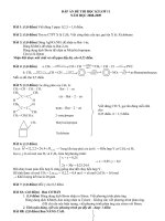 Hà nội - Amsterdam - ĐÁP ÁN thi Học kì 2 lớp 10
