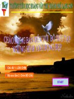 BỘ ẢNH ĐỘNG CHIM BỒ CÂU