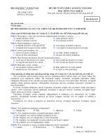 Đề Tiếng Nga 2010 CĐ KD Mã 524