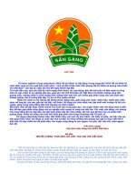 Lịch sử Đội TNTP HCM