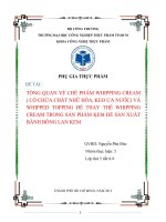 TỔNG QUAN VỀ CHẾ PHẨM WHIPPING CREAM ( CÓ CHỨA CHẤT NHŨ HÓA, KEO ƯA NƯỚC) VÀ WHIPPED TOPPING ĐỂ THAY THẾ WHIPPING CREAM TRONG SẢN PHẨM KEM ĐỂ SẢN XUẤT BÁNH BÔNG LAN KEM